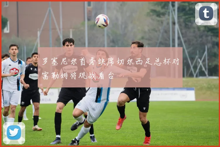 罗塞尼尔首秀缺席切尔西足总杯对富勒姆将观战看台
