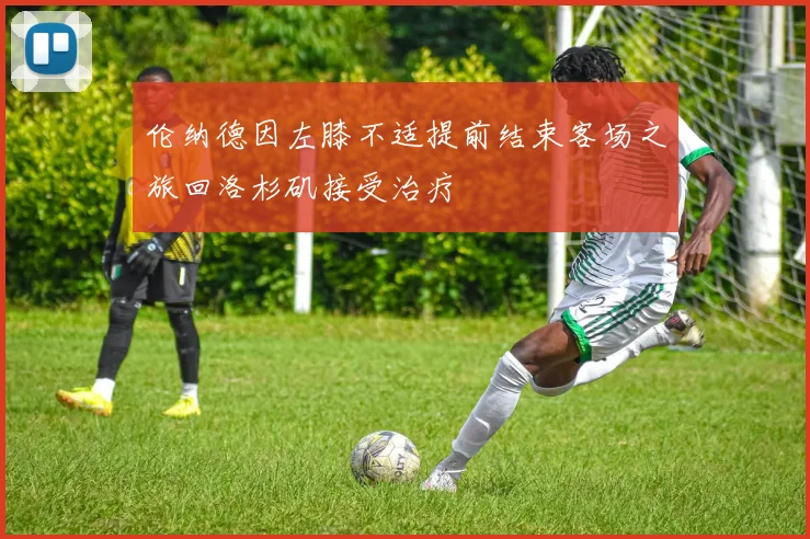 伦纳德因左膝不适提前结束客场之旅回洛杉矶接受治疗